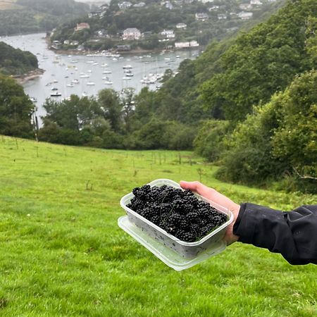 Pilchards Cottage Noss Mayo 外观 照片