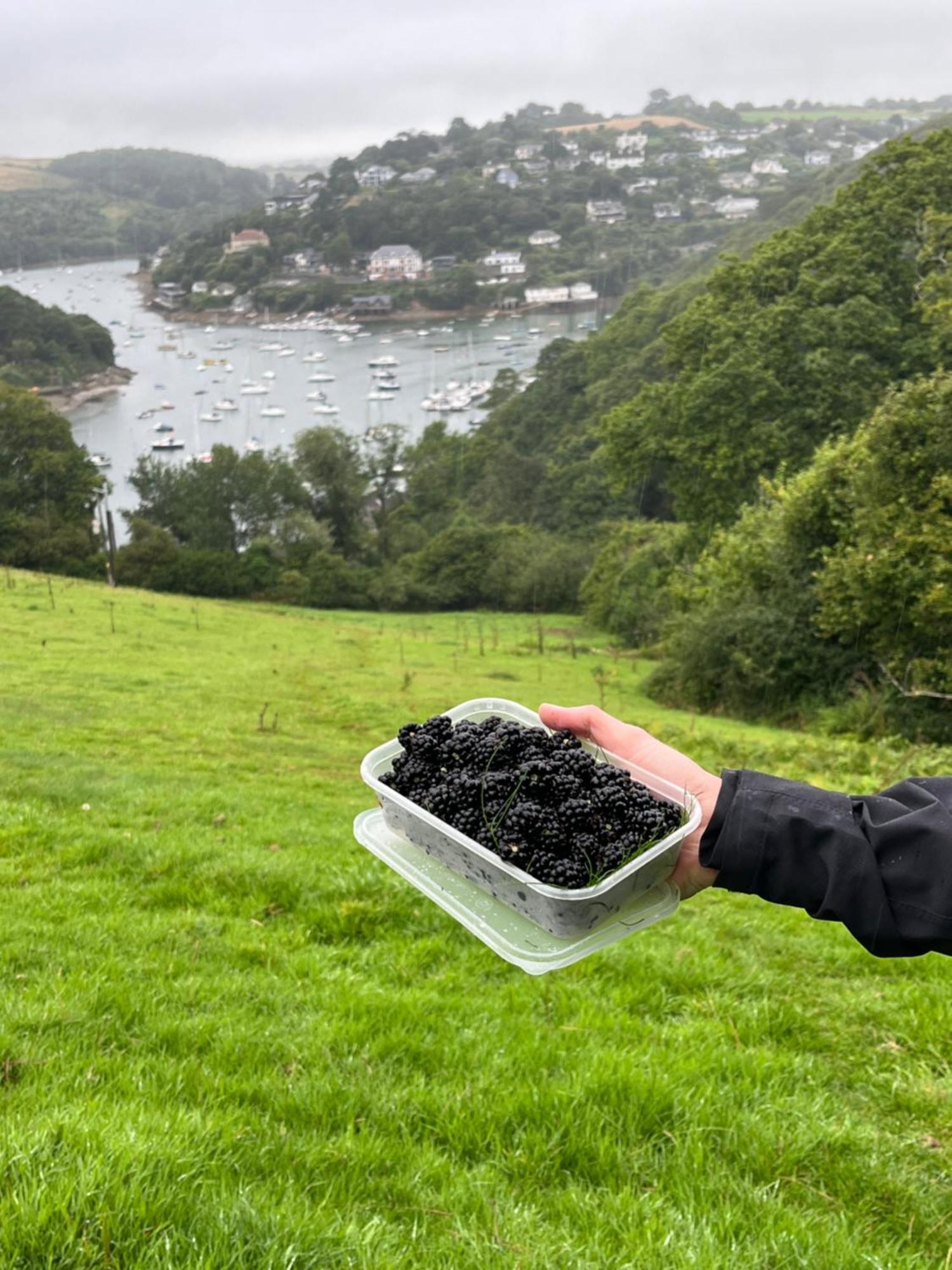 Pilchards Cottage Noss Mayo 外观 照片